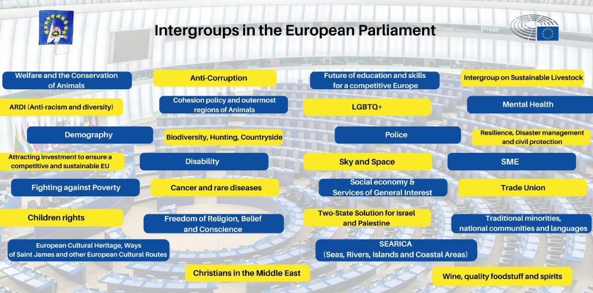 Featured image for “A Platform on the Future of Democracy in the European Parliament – Next Steps”