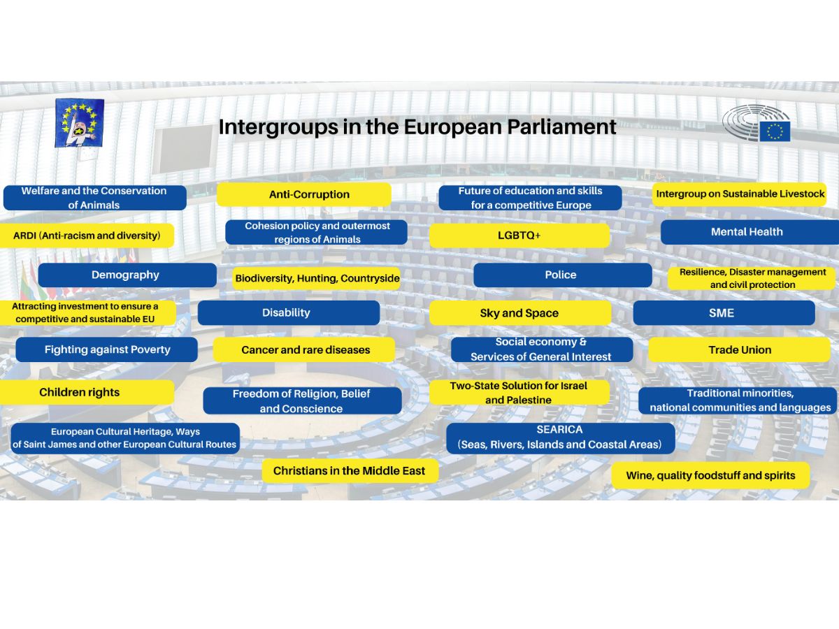 Featured image for “A Platform on the Future of Democracy in the European Parliament – Next Steps”